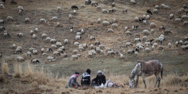 Doğu'da yayla hasreti sona eriyor