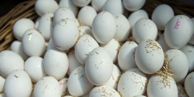 Yumurtacılar 2018'den umutlu