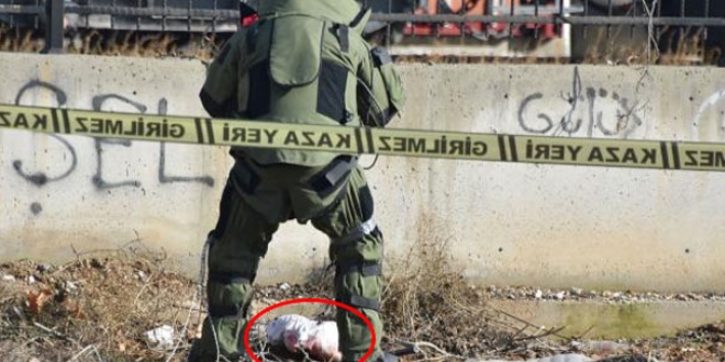Bomba sanılan bezin içerisinde ölü kedi bulundu
