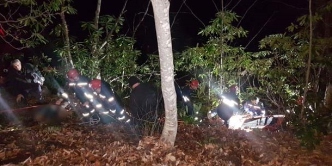 Kesti�i a�a� �zerine devrilen �ah�s hayat�n� kaybetti