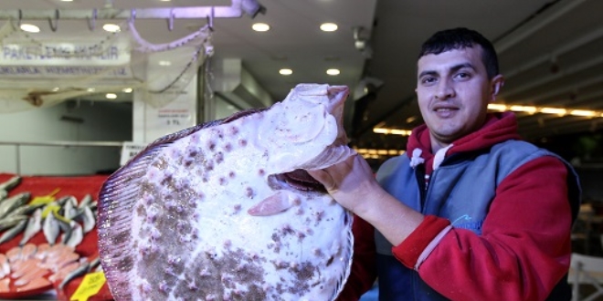 Bir adet kalkan 875 lira