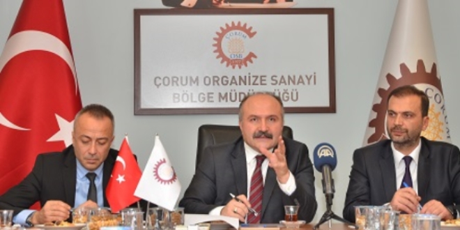 Usta: Türkiye'nin ekonomide reforma ihtiyacı var