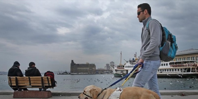 Rehber köpeği Aslan, hem ev hem yol arkadaşı