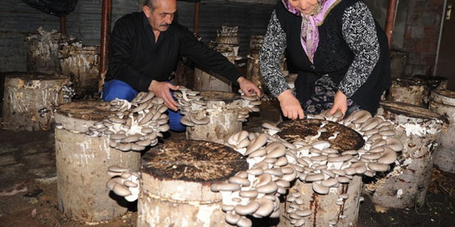 30 liraya mal ediyor, 2 bin lira kazand�r�yor