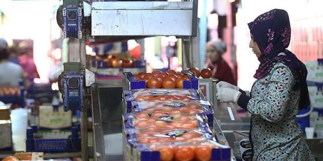 Rusya Türkiye'den domates ithalatını arttırabilir