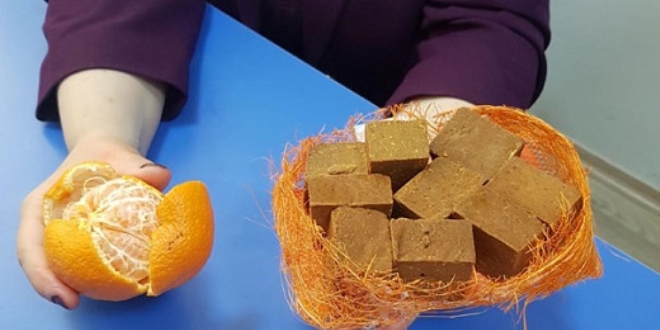 Türk doktordan müthiş buluş! Mandalina kabuklarından ürettiler..