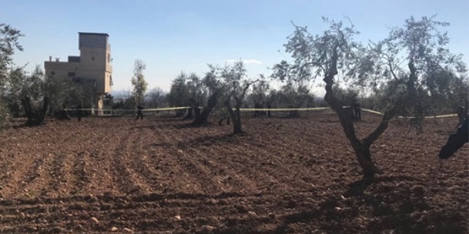 Kilis'te zeytin bahçesine roket düştü