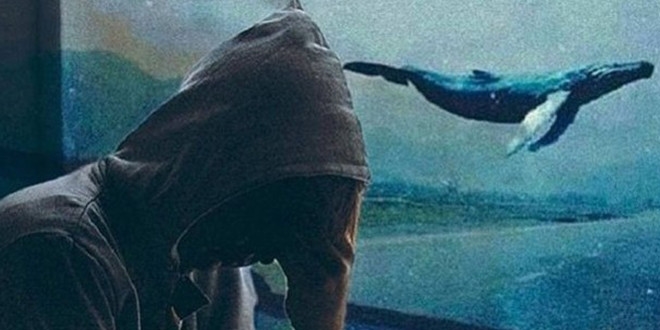 Cumhurbaşkanlığı bilişim uzmanı uyardı: Mavi Balina bir oyun değil