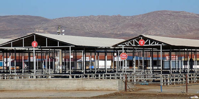 T�rkiye'nin en b�y���yd�... Karantina kalk�yor