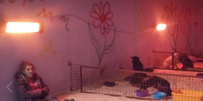 Engelli hayvanlara bakmak için öğretmenliği bıraktı