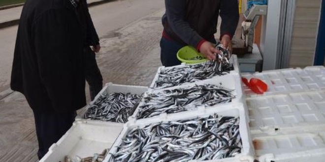 Hamsinin fiyatı sonunda düştü