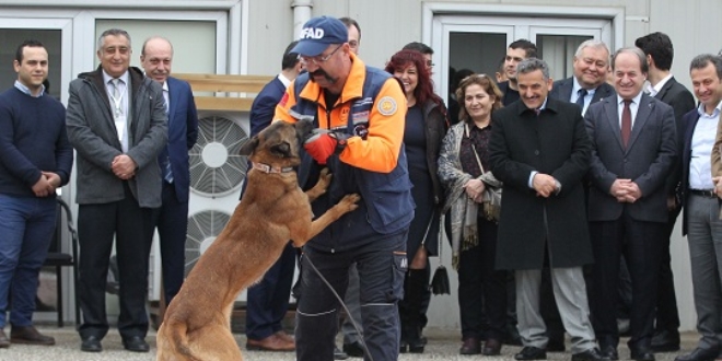 Paralanm cesetleri 'Abrek' bulacak