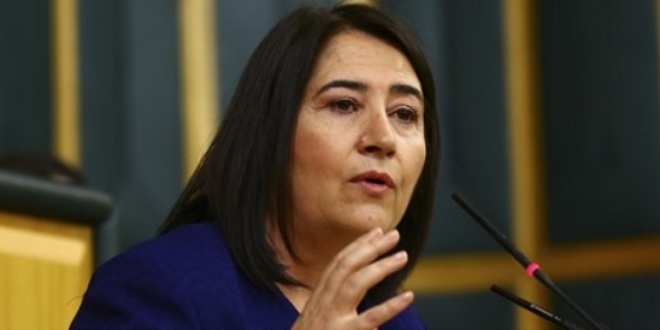 HDP eski Eşbaşkanı Serpil Kemalbay gözaltına alındı
