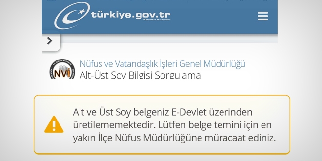 Soy ağacı sorgusunda, bu sonuç neden çıkıyor?
