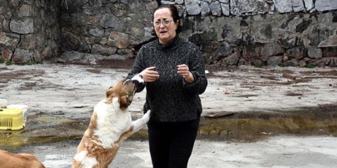 Sokak hayvanlarının doktor annesi