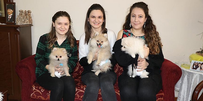 Üniversite öğrencisi yavru köpeklere 'yediemin' oldu