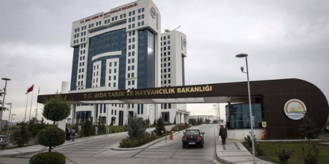 Tek tırnaklı hayvanların tanımlanması ve izlenmesine dair yönetmelik yayımlandı
