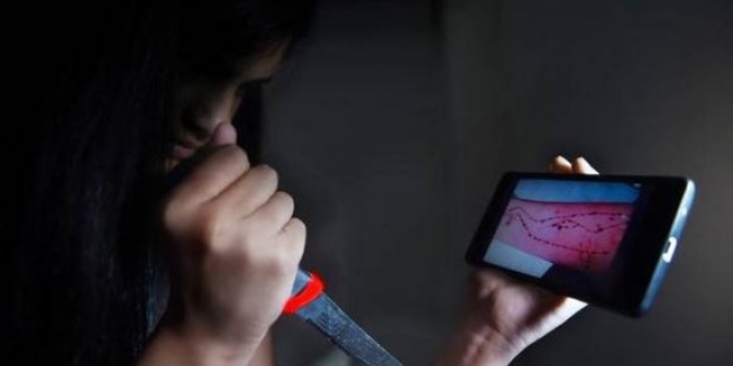 Uzmanlar 'Mavi Balina' konusunda uyar�da bulundu