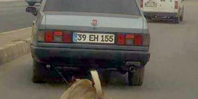Hareket halindeki araca bağladığı köpeği sürükleyip götürdü