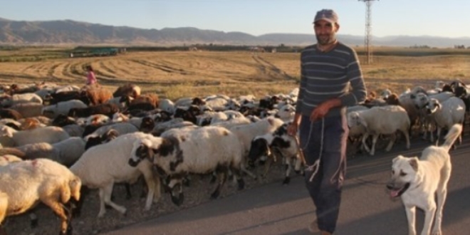 Çiftçiye çifte destek