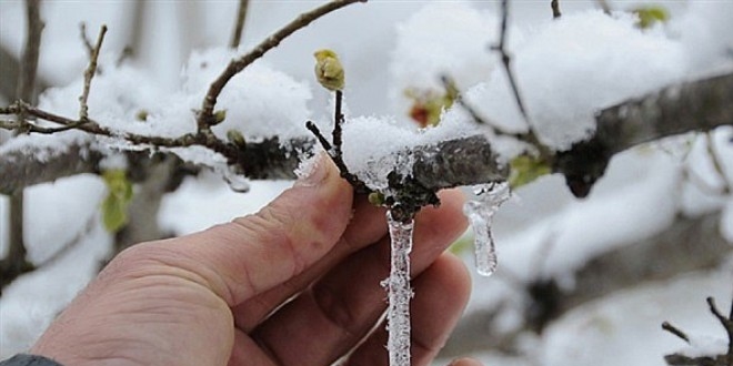 Meteorolojiden zirai don uyarısı