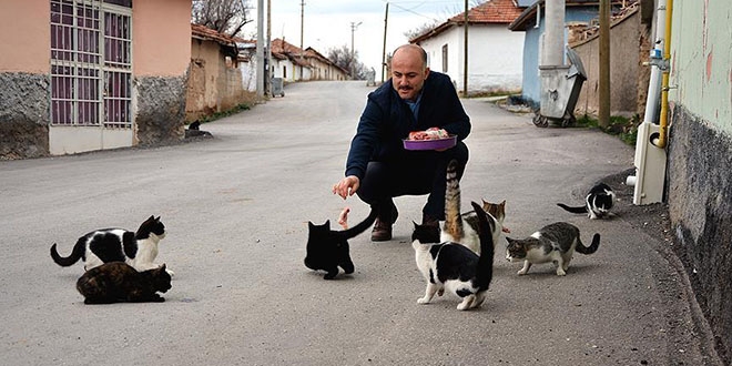 Mahallenin kedileri imamın yolunu gözlüyor