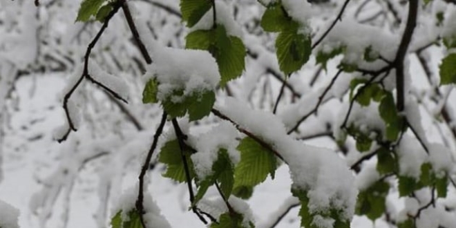 F�nd�k �reticilerine zirai don uyar�s�