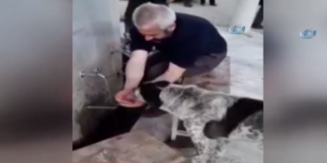 Abdest alırken elleriyle köpeğe su içirdi