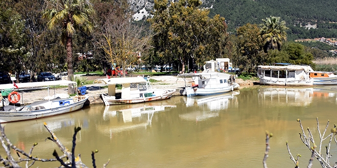 Gökova Körfezi'nin rengi değişti