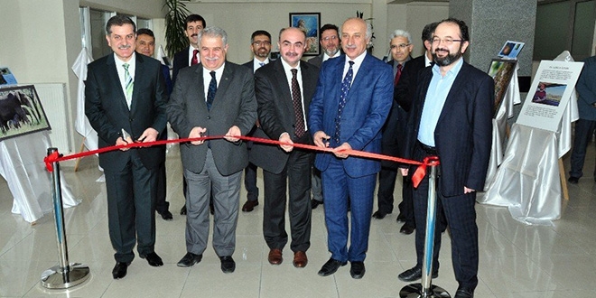 Hekim fotoğrafçının gözünden yaban hayatına tanıklık