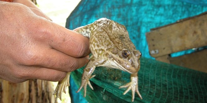 Profes�rden uyar�: Kurba�alara dokunma