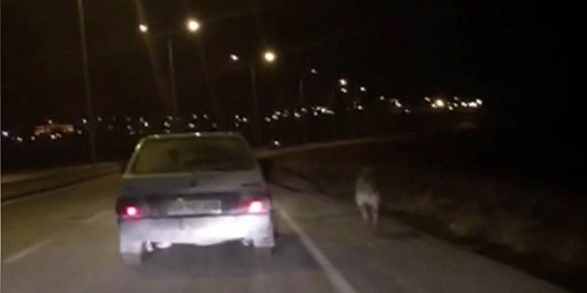 K�pe�i otomobile ba�lay�p ko�turan iki karde�e para cezas�