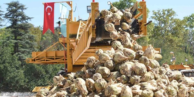 Şeker fabrikaları zarar mı ediyor?