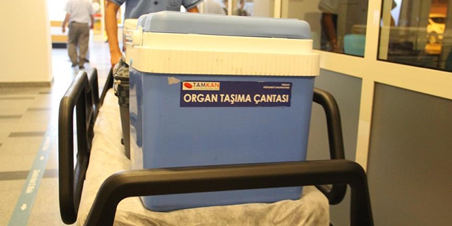Hava Kuvvetlerinden 'organ nakli' uçuşu
