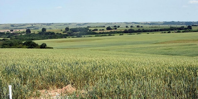 Mahkemeden, tar�m arazisinde patlay�c� deposuna ret