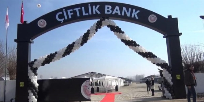Çiftlik Bank yönetim kurulu üyesi İstanbul'da yakalandı