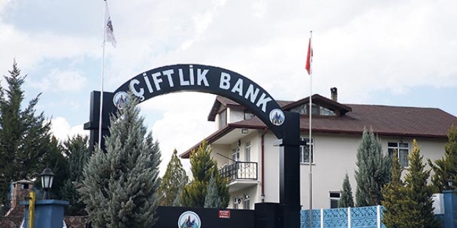 Meer 'iftlik' cennetiymiiz