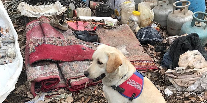 Bitlis'te terör örgütüne ait 3 sığınak imha edildi