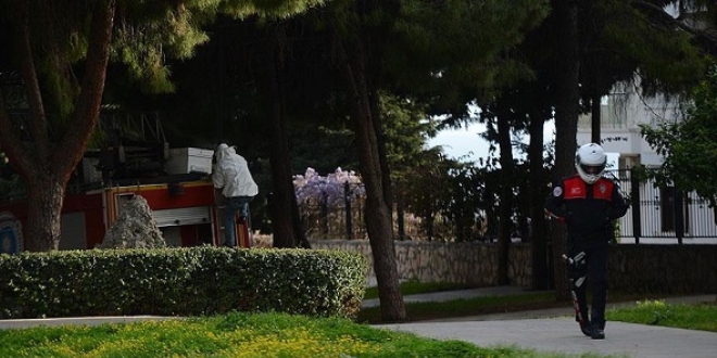 Antalya'da 'arı' operasyonu