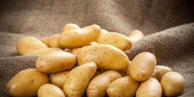 Ziraat Odası'ndan 'patates tüketelim' çağrısı