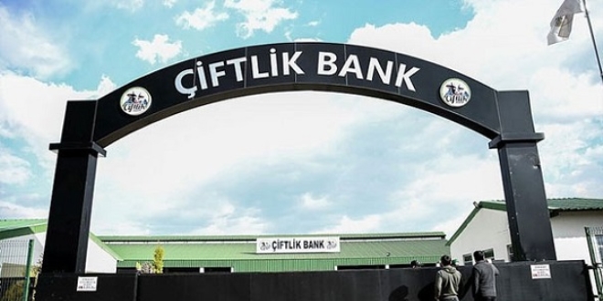 Çiftlik Bank mağdurları ikinci kez dolandırıldı