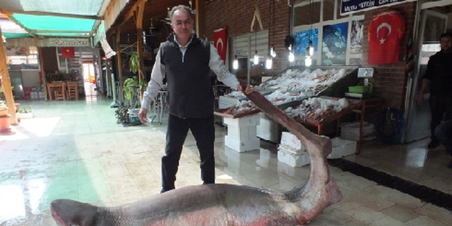 Mersin'de yakalandı! Tam 4 metre