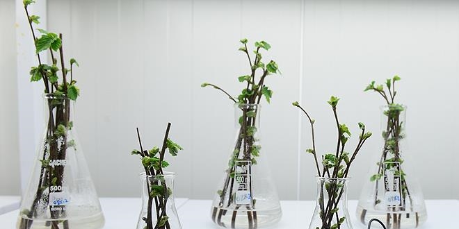 So�u�a dayan�kl� f�nd�k �e�idi geli�tirilecek