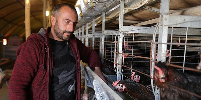Çadırda ürettiği yumurtaları Türkiye'ye pazarlıyor