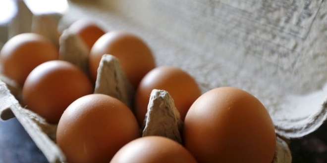 'Yumurta, anne sütünden sonra en önemli protein'