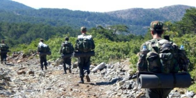 Dargeçit'teki terör örgütüne yönelik operasyon