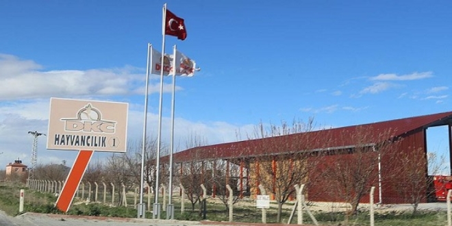 Sütbank mağdurlarına 'hayvan yemi' ile ödeme