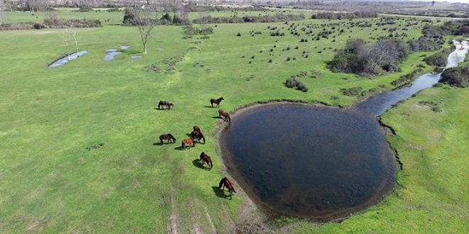 K�z�l�rmak Deltas�'nda bahar hareketlili�i