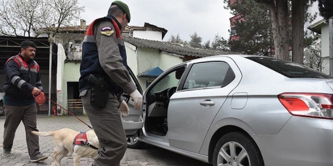 Bilecik'te 'yılan zehri' operasyonu