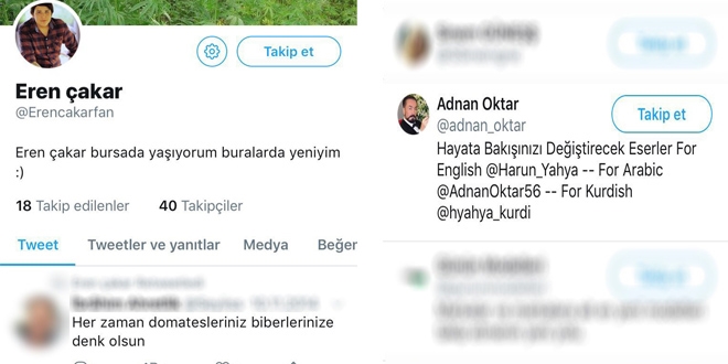 'Tosun'un 'kedicik' merakı